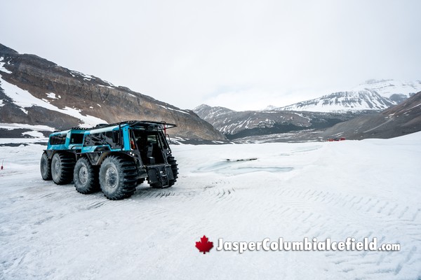 Fat Truck Ascends Higher than the Buses during the Columbia Icefield Fat Truck Ice Odyssey