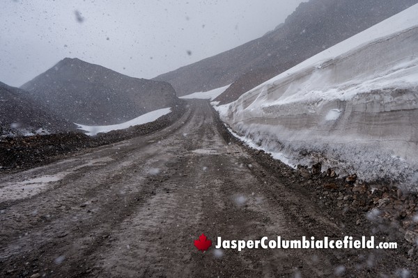Riding along the Glacier on the Columbia Icefield Fat Truck Ice Odyssey