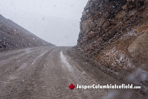 Road along the Columbia Icefield Fat Truck Ice Odyssey