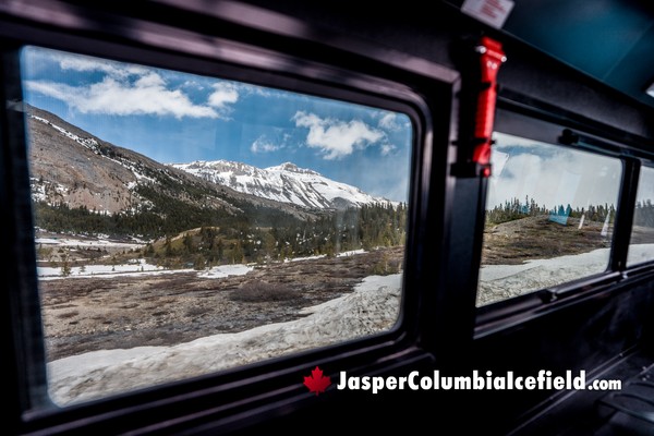 Views from Inside the Columbia Icefield Fat Truck Ice Odyssey